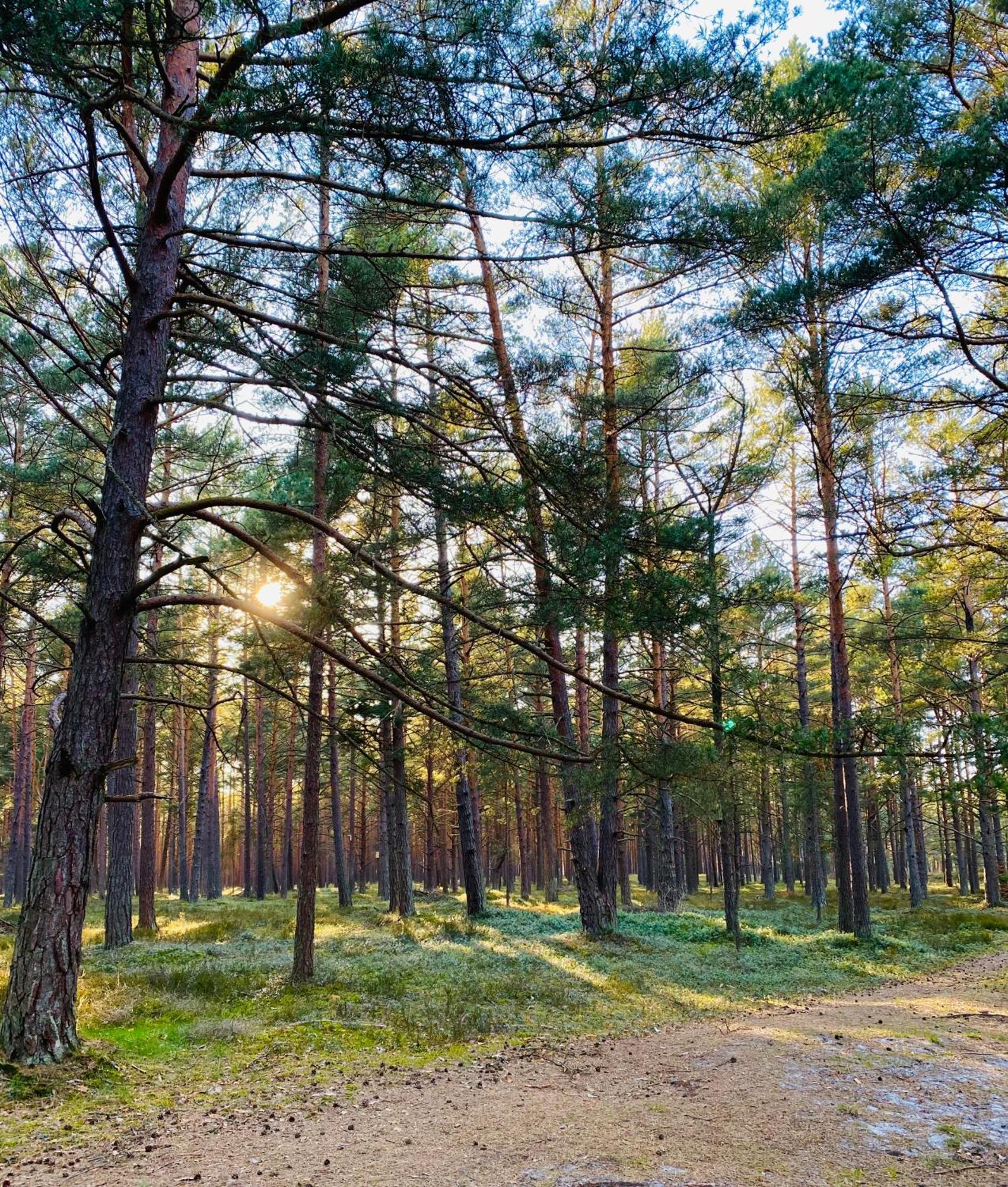Nadmorska Ostoja Lubiatowo Villa Lubiatowo  Bagian luar foto